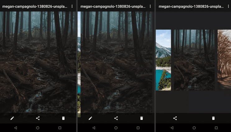 Three Android gallery screenshots showing a forest photo being adjusted and then rotated into a thumbnail view using a two finger twist gesture.